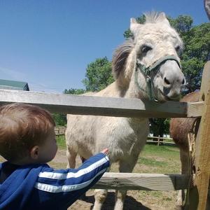 MERRIBELLE'S MISSION